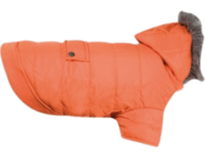 orange dog jacket
